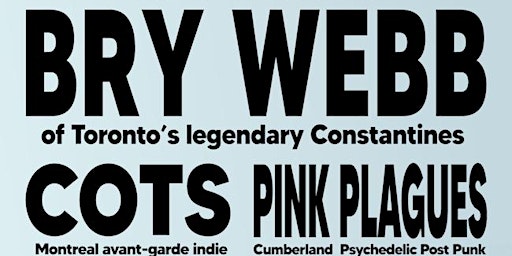 Bry Webb (of Toronto's legendary Constantines) with Cots (Montreal  primärbild