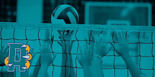 Hauptbild für AACC Volleyball Skills Clinic