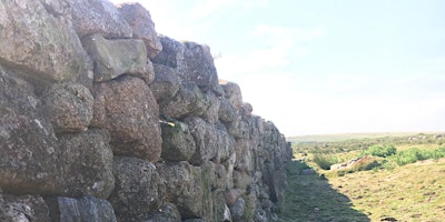 Walling Club - Stone Face Wall Repair primary image