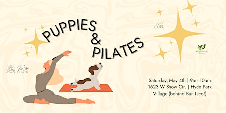 Puppies + Pilates with MercyFull Project