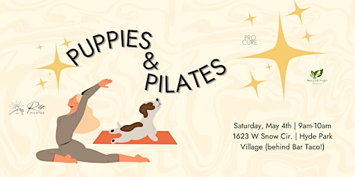 Puppies + Pilates with MercyFull Project primary image
