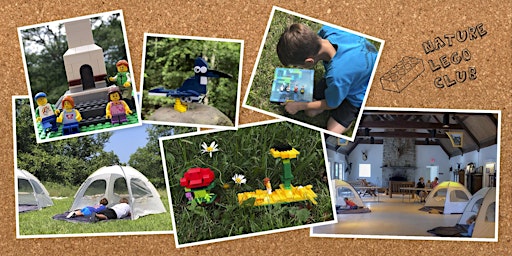 Hauptbild für Nature LEGO Club for Homeschoolers