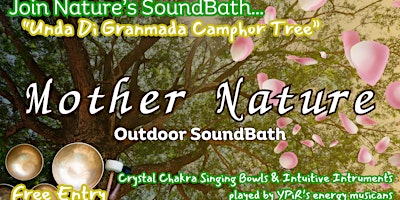 Imagem principal de Mother Nature Sound Bath