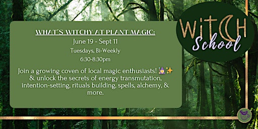Image principale de Witch School 101 with Meaghan Len