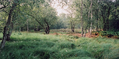Imagen principal de Explore Flitwick Moor