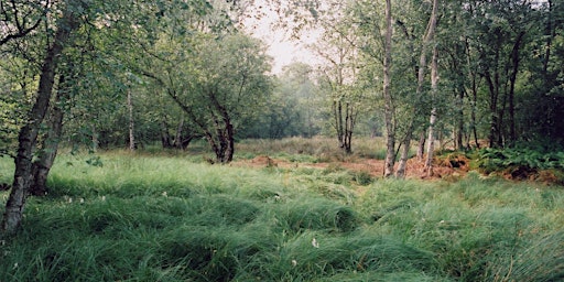 Imagem principal de Explore Flitwick Moor