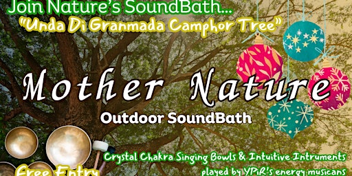 Primaire afbeelding van Mother Nature Sound Bath