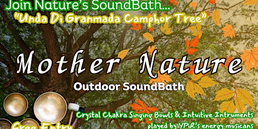 Imagem principal do evento Mother Nature Sound Bath