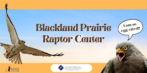Imagem principal do evento Blackland Prairie Raptor Center