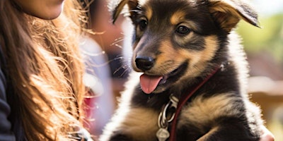 Volunteer at Bark in the Park primary image