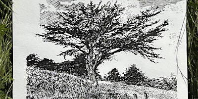 Artist Hike: Scenic Sketches Splendor  with Joshua Moreno primary image