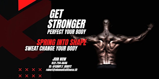 Imagen principal de SPRING BACK INTO SHAPE