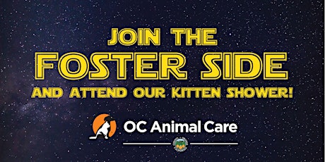 Kitten Shower at OC Animal Care