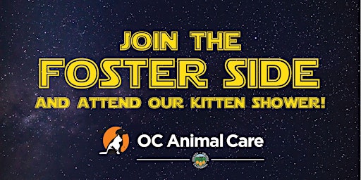 Kitten Shower at OC Animal Care primary image