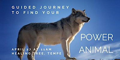 Image principale de Guided Journey to Find Your Power Animal