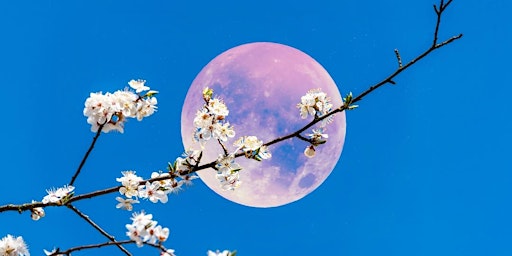 Full Moon Celebration and Meditation primary image