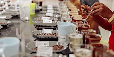Infusion Coffee and Tea: International Coffee Tasting primary image