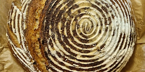Immagine principale di Exploring Bread 
