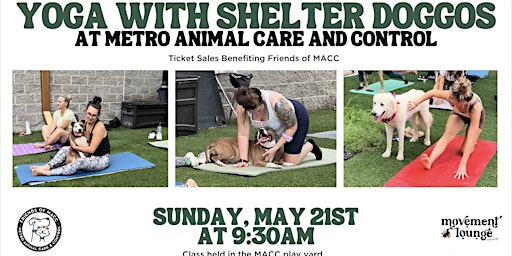 Imagem principal do evento Yoga with the Shelter Doggos at Metro Animal Care and Control