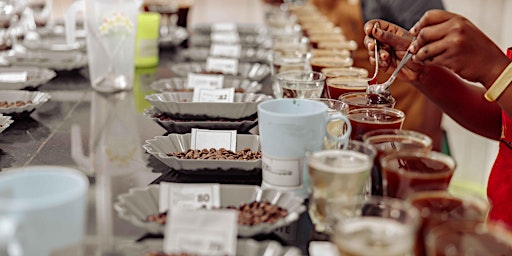 Infusion Coffee and Tea: International Coffee Tasting  primärbild