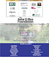 Astor D Rice Foundation