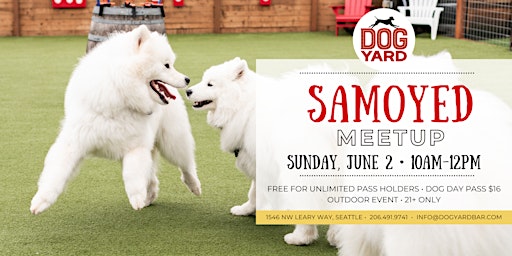 Samoyed Meetup at the Dog Yard Bar - Sunday, June 2 primary image