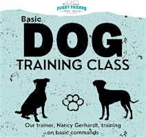 Imagem principal do evento Basic Dog Training