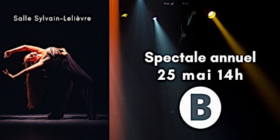 Image principale de SPECTACLE ANNUEL B