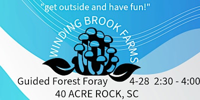 Guided Forest Foray at Forty Acre Rock, South Carolina primary image