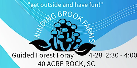 Guided Forest Foray at Forty Acre Rock, South Carolina
