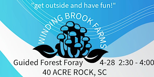 Imagem principal do evento Guided Forest Foray at Forty Acre Rock, South Carolina