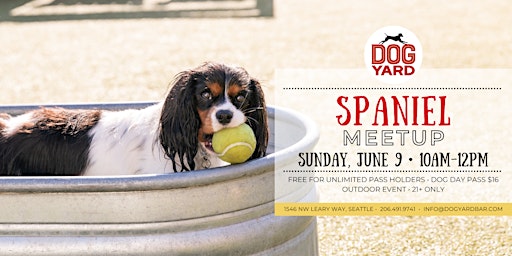 Hauptbild für Spaniel Meetup at the Dog Yard Bar - Sunday, June 9