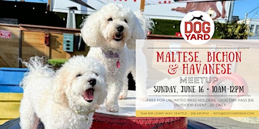 Immagine principale di Maltese, Bichon, & Havanese Meetup at the Dog Yard Bar - Sunday, June 16 