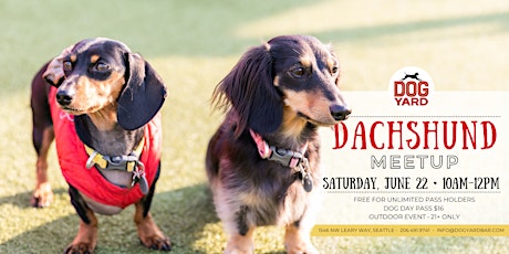 Dachshund Meetup at the Dog Yard Bar - Saturday, June 22