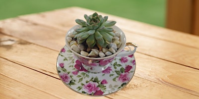 Immagine principale di Workshop: Create Your Own Teacup Succulent Arrangement 