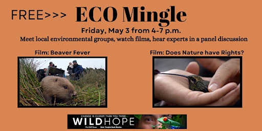 Imagem principal do evento Eco Mingle