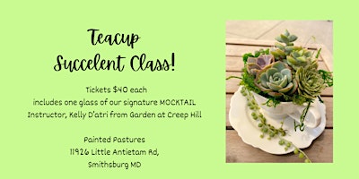 Painted Pastures Teacup Succulent Class primary image