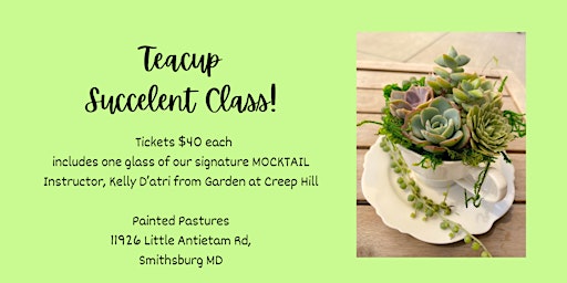 Painted Pastures Teacup Succulent Class primary image