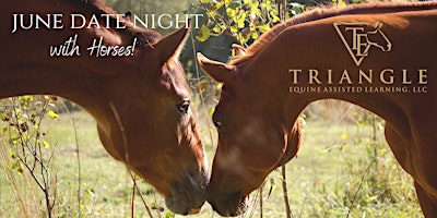 Immagine principale di June Date Night with Horses! 