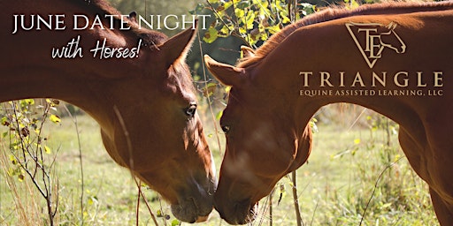 Primaire afbeelding van June Date Night with Horses!