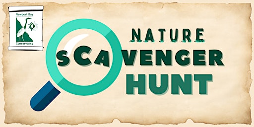 Hauptbild für Nature Scavenger Hunt at the Upper Newport Bay