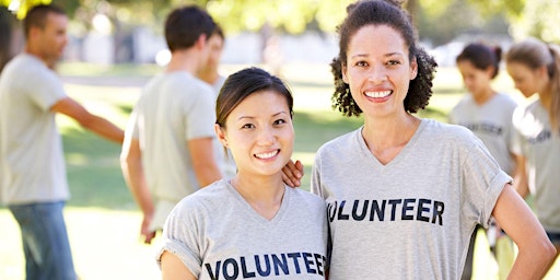 Imagem principal de The Multicultural Professional Network: Corporate Volunteering