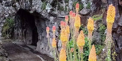 Imagen principal de Al centro della primavera