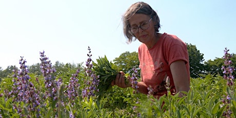 Balade florale et aromatique avec Anne-France (Flo’Maraichage)