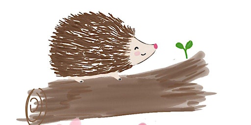 Imagem principal de All About Hedgehogs!