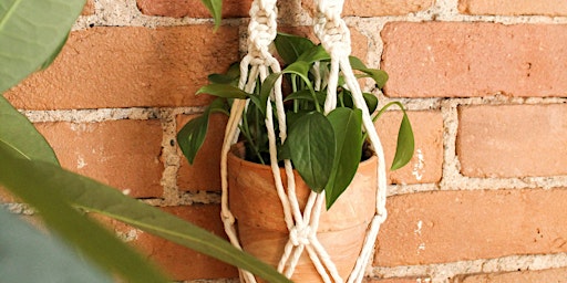 DIY Macramé Plant Hangers for Teens primary image