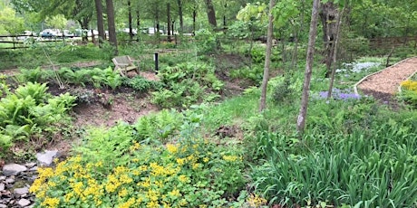 Cancelled due to rain.Garden Tour - Walk & Learn at Wolf Trap National Park