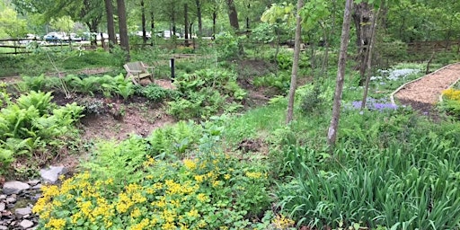 Primaire afbeelding van May Garden Tour - Walk & Learn at Wolf Trap National Park