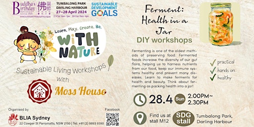 Imagen principal de Sustainable Living Workshop - DIY Fermenting