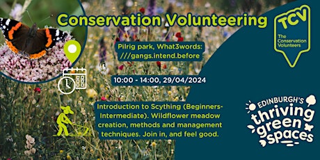 Conservation Volunteers - Scything and Wildflower Meadow Creation  primärbild